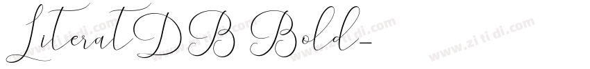 LiteratDB Bold字体转换